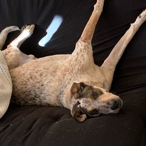 Meet your Posher, Aimee